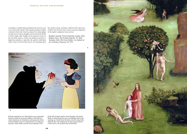 Book of Symbols Preview
