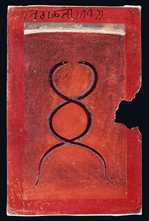 Snake 5