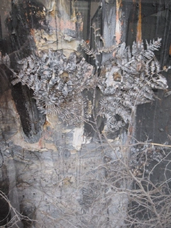 Detail of Trinity by Anselm Kiefer