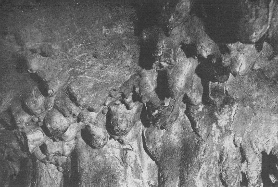 Archive record preview image