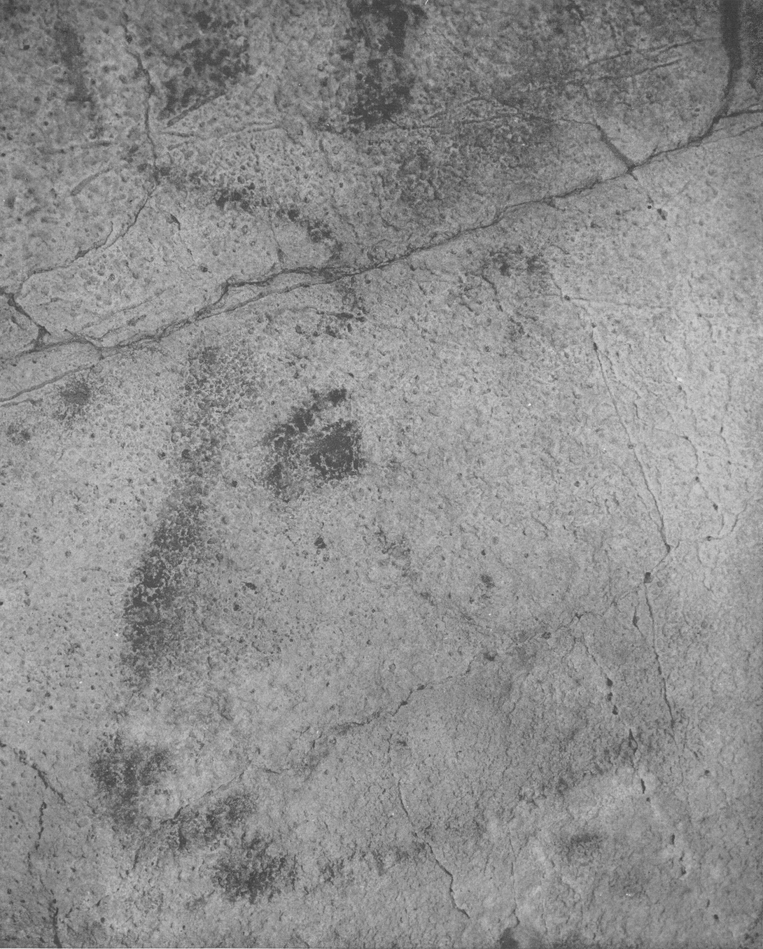 Archive record preview image