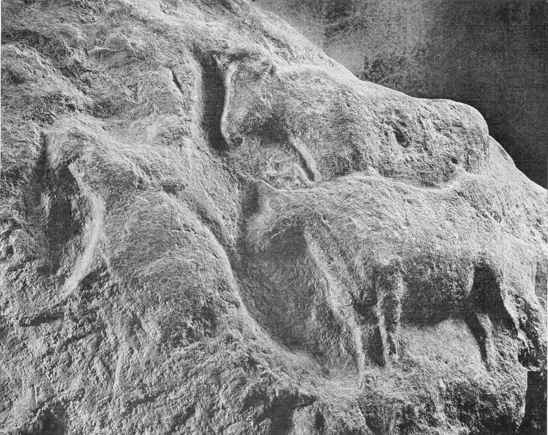 Archive record preview image