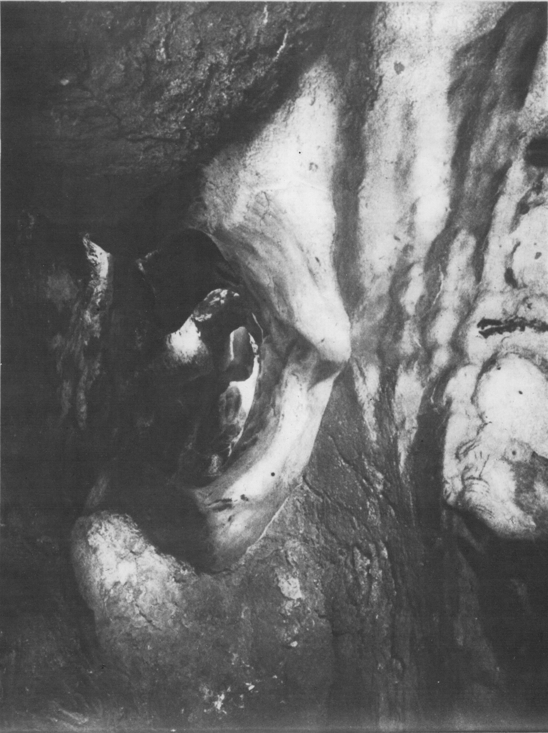 Archive record preview image