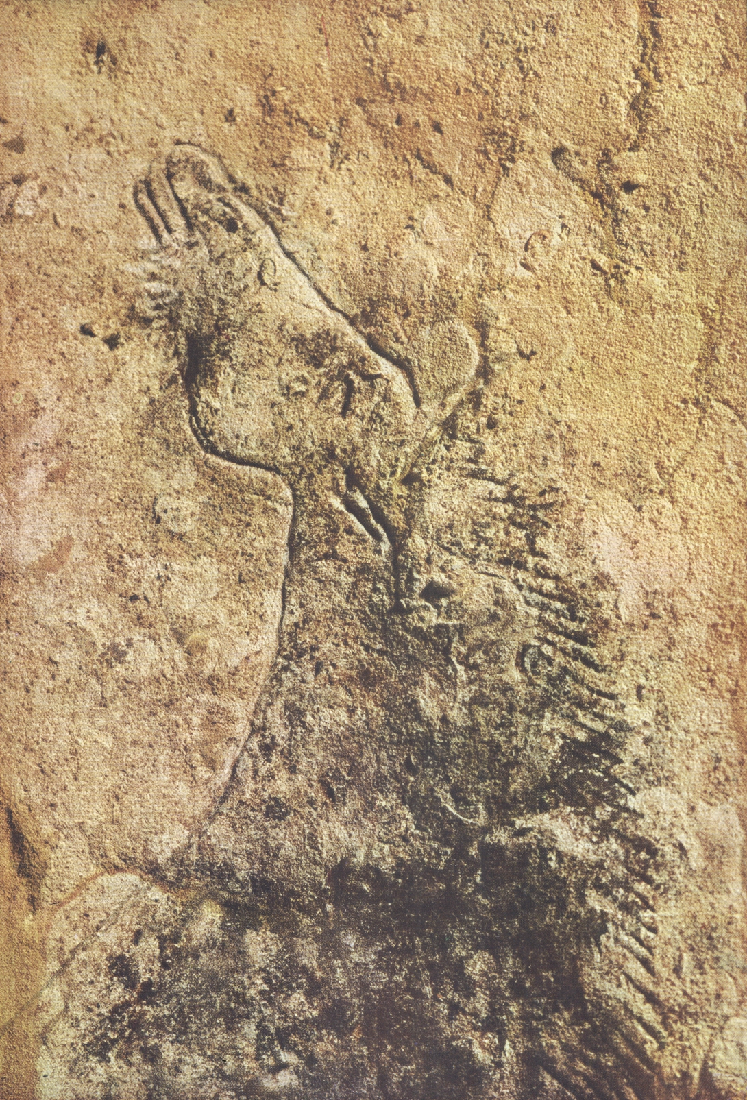 Archive record preview image