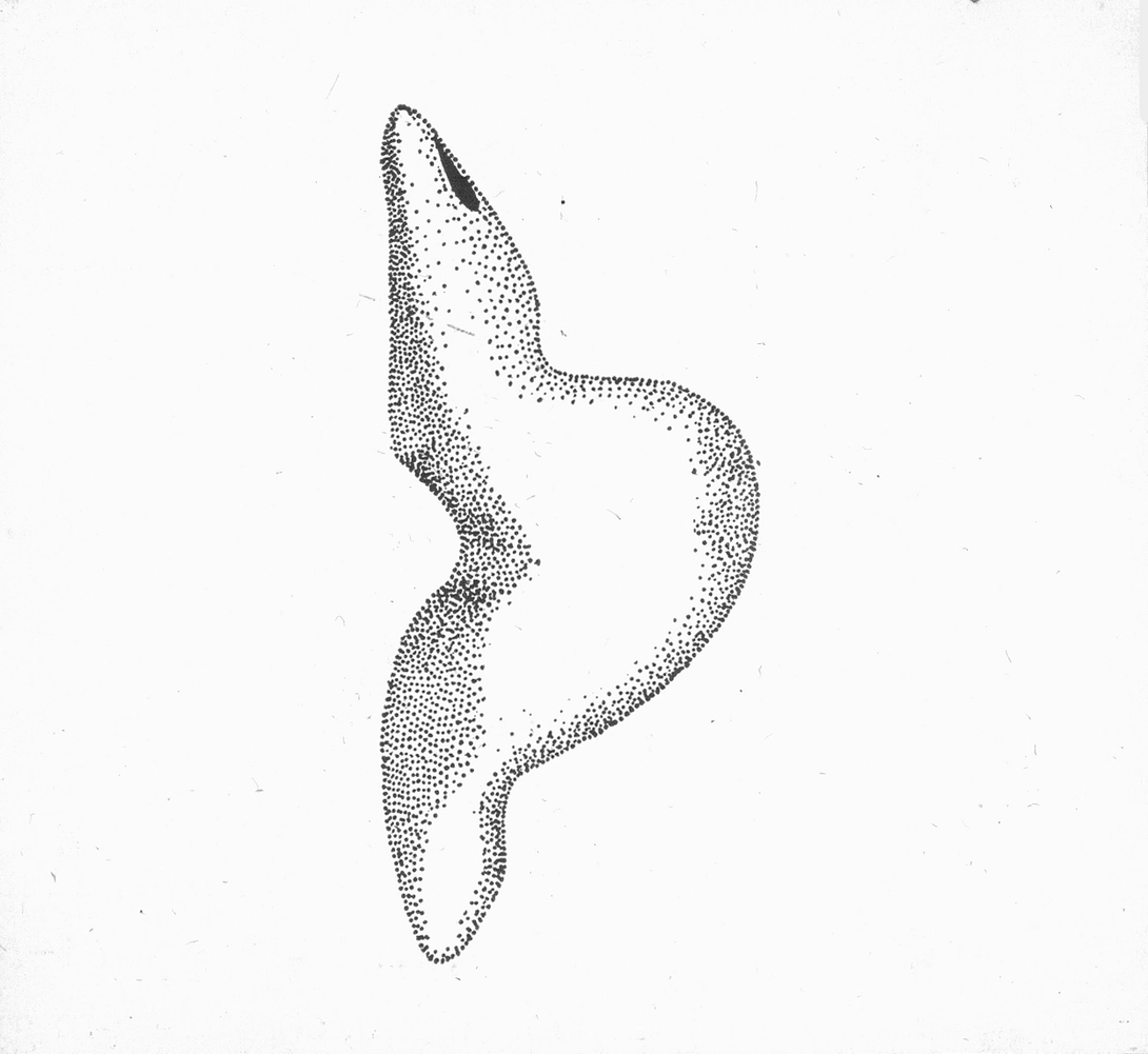 Archive record preview image