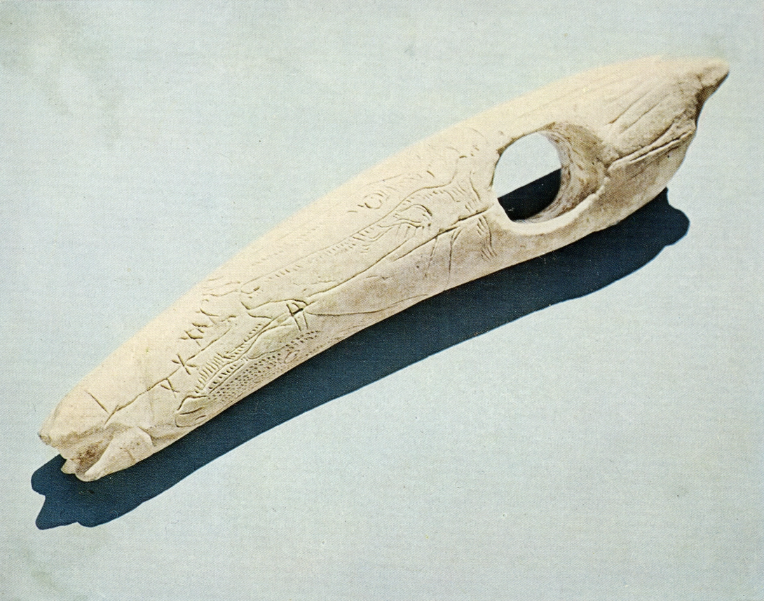 Archive record preview image