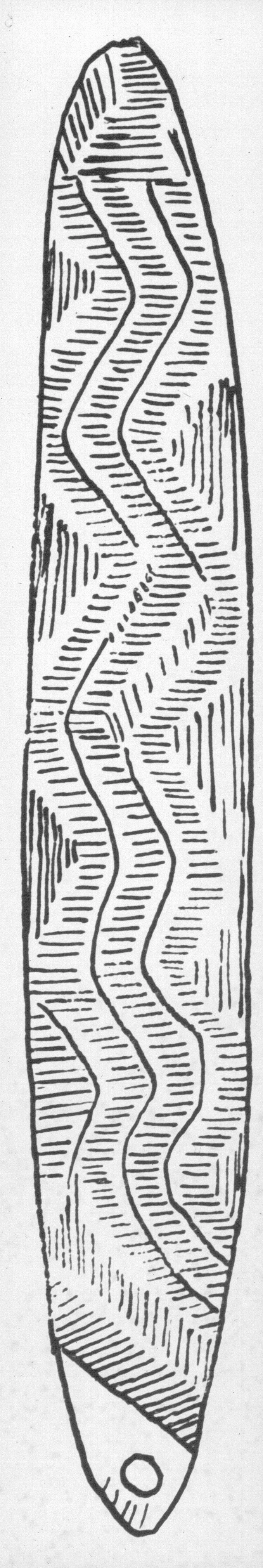 Archive record preview image