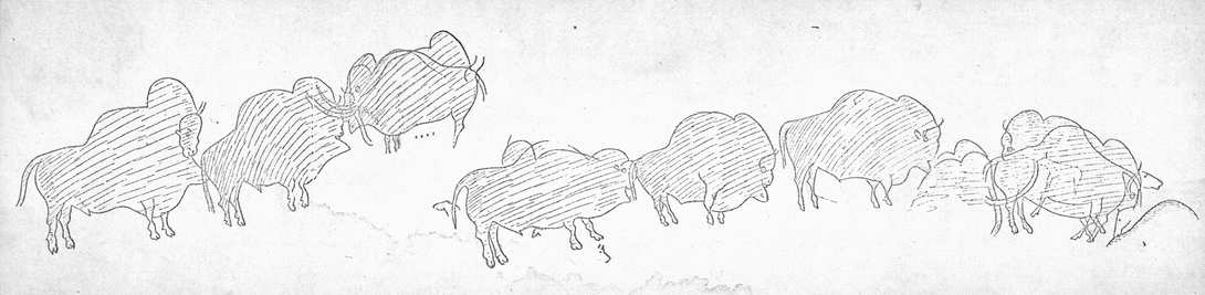 Archive record preview image