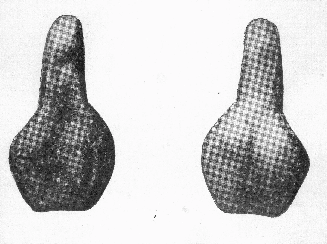 Archive record preview image