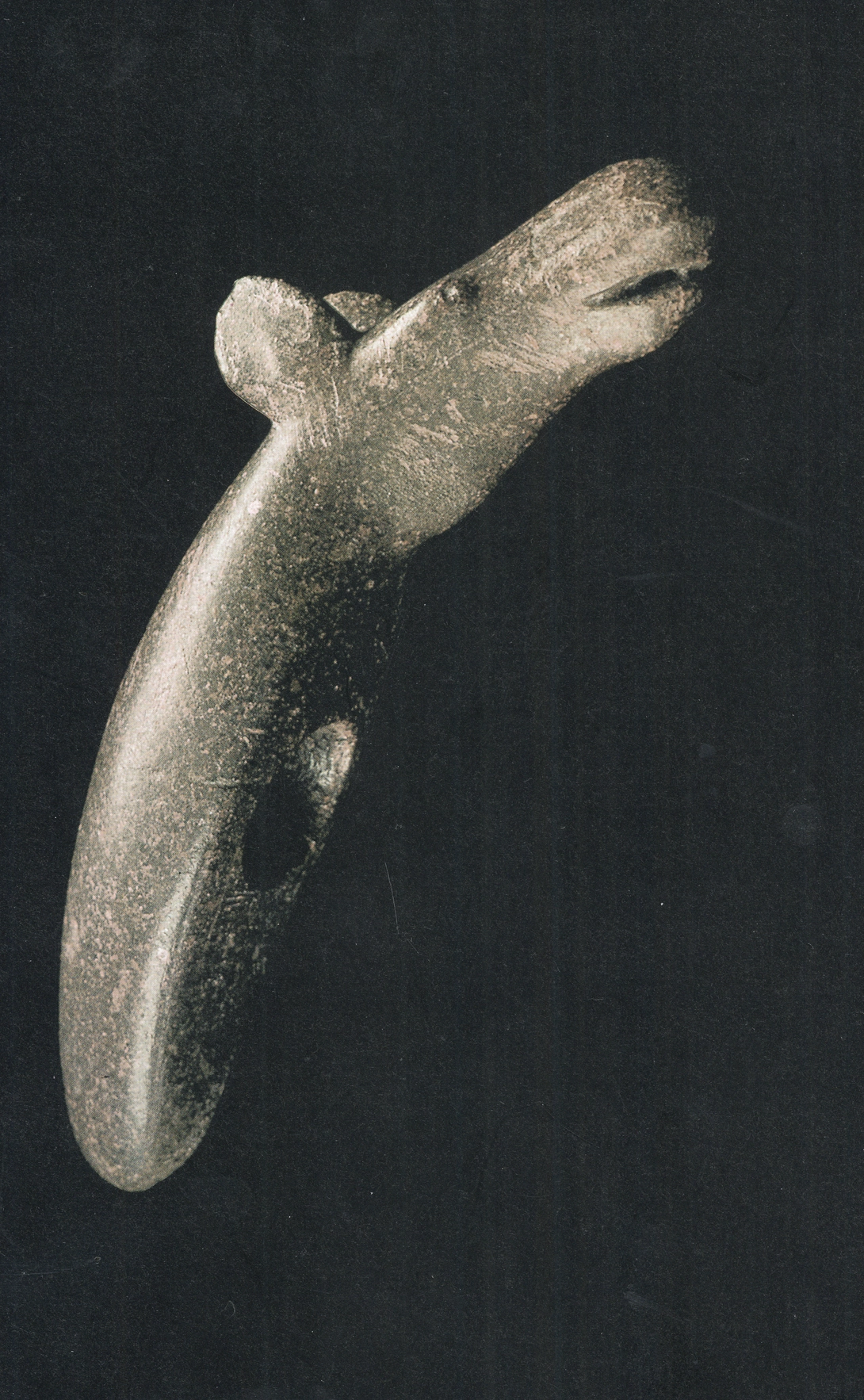 Archive record preview image