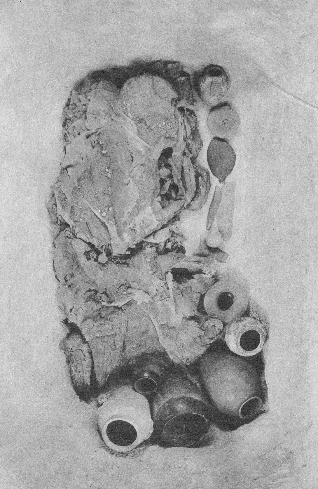 Archive record preview image