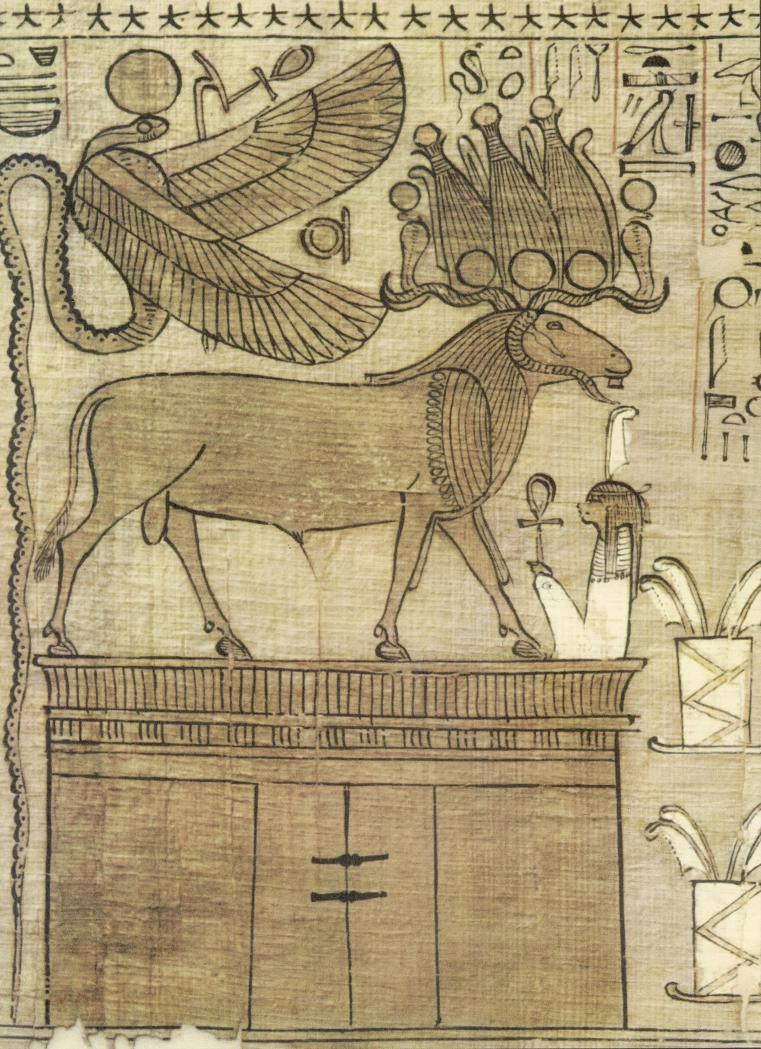 Archive record preview image