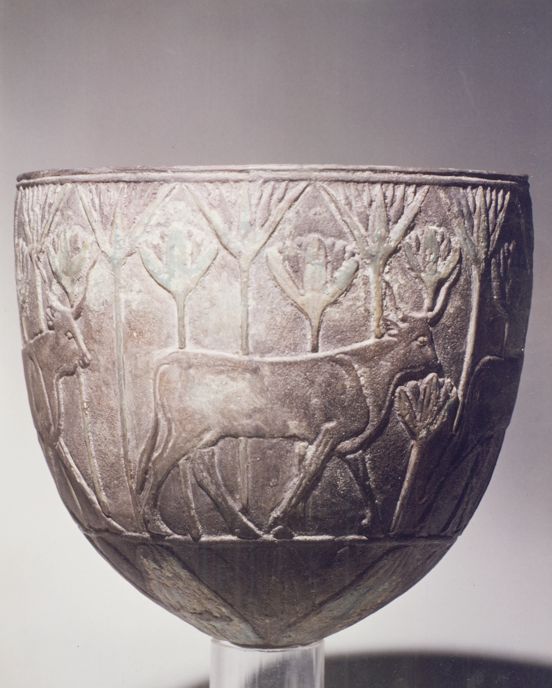 Archive record preview image