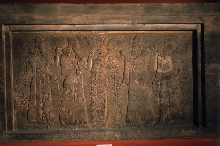 Archive record preview image