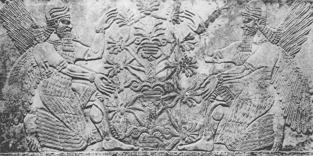 Archive record preview image