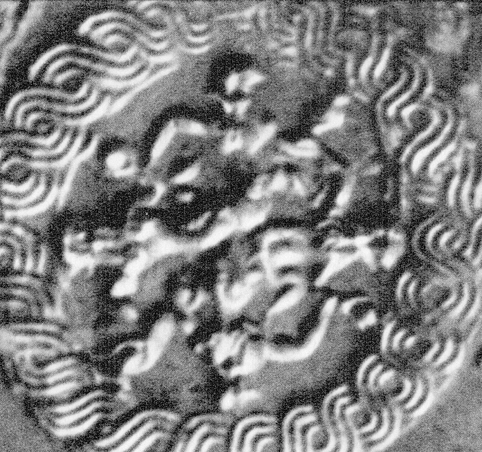 Archive record preview image
