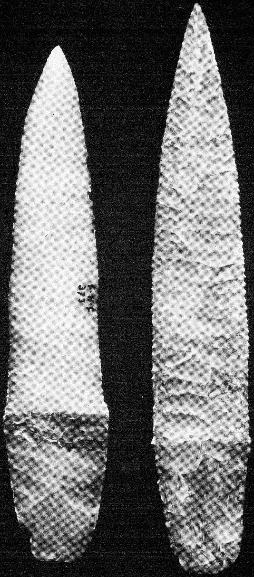 Archive record preview image