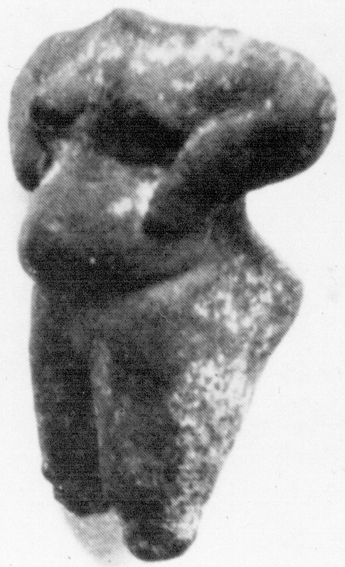 Archive record preview image