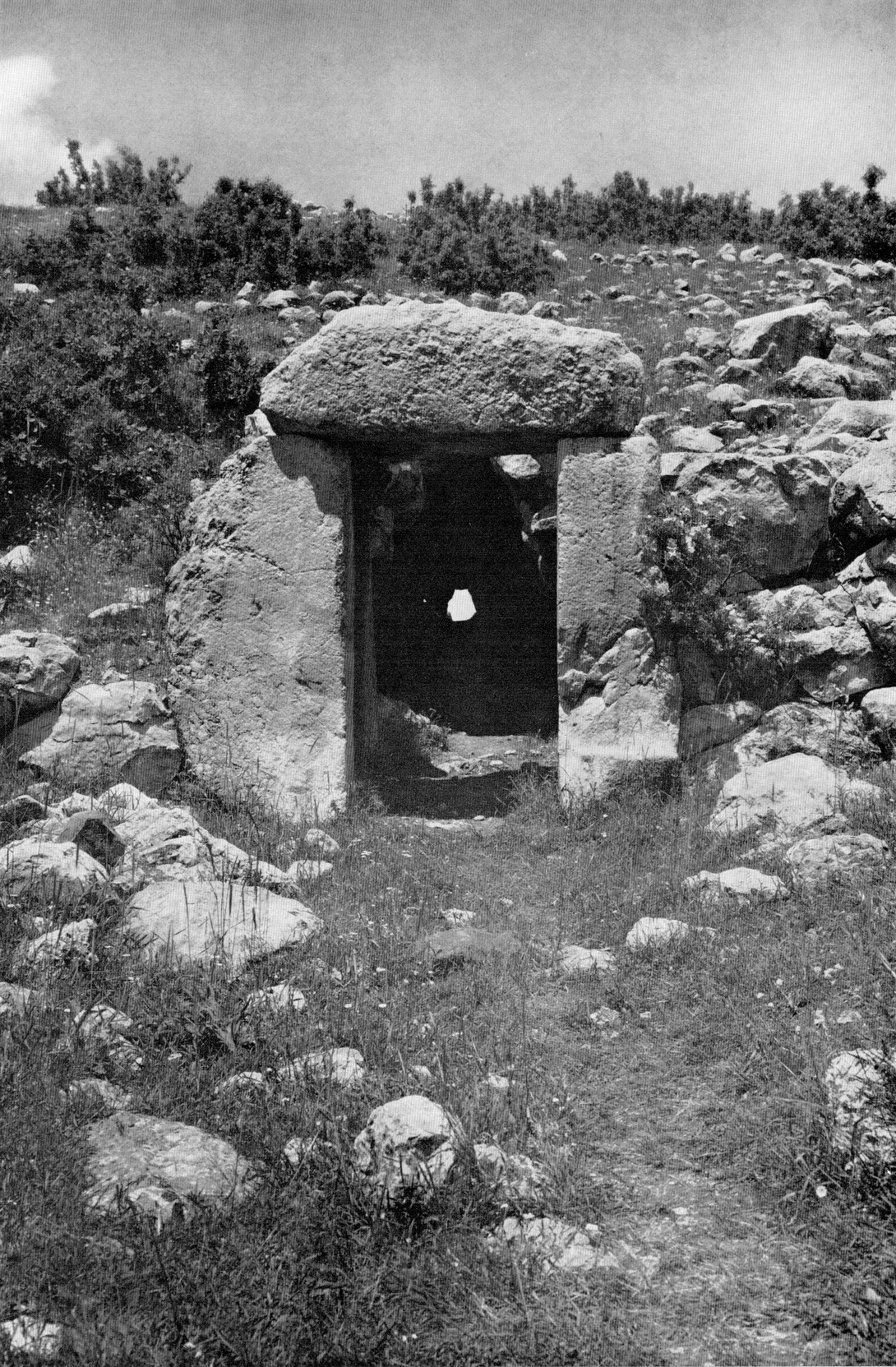 Archive record preview image