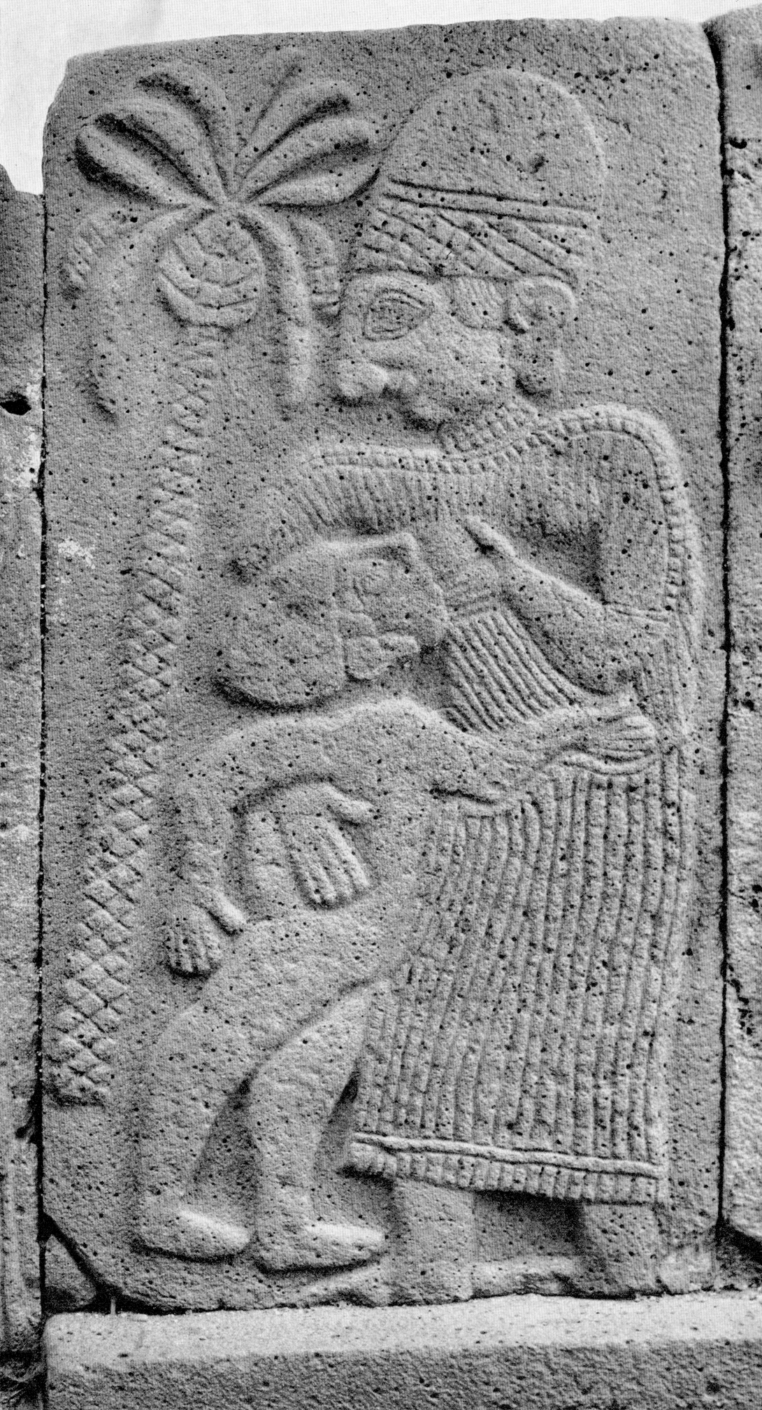 Archive record preview image