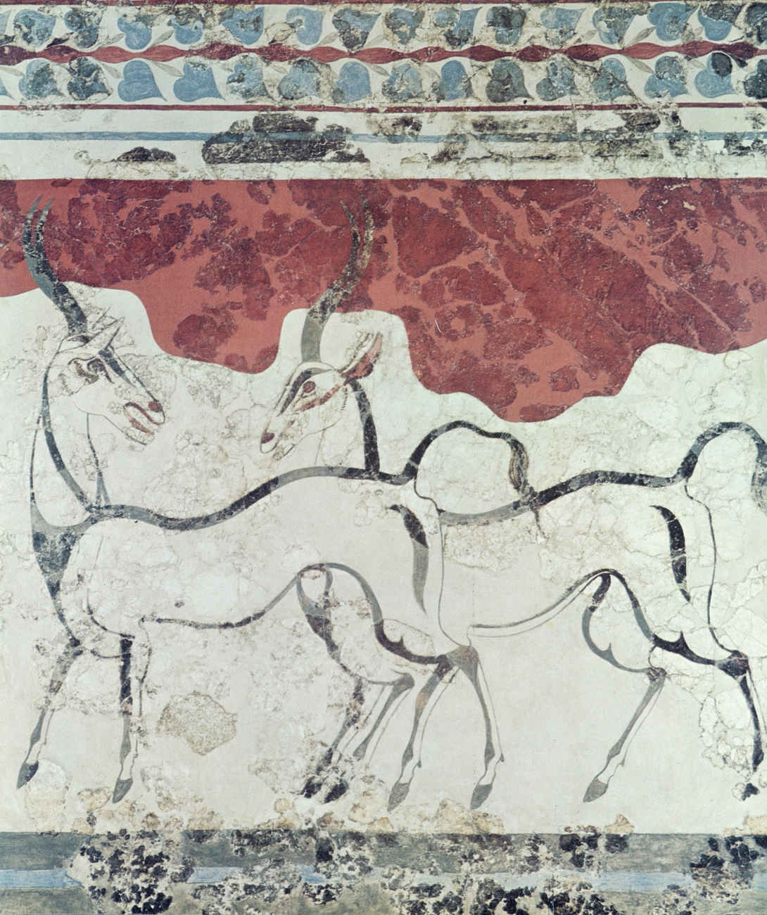 Archive record preview image