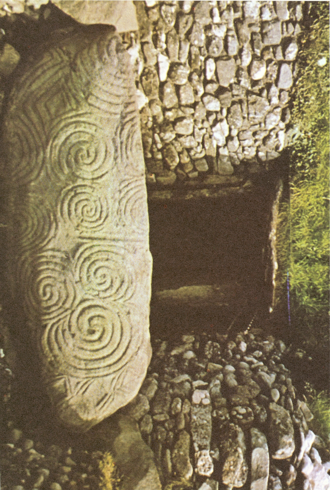 Archive record preview image