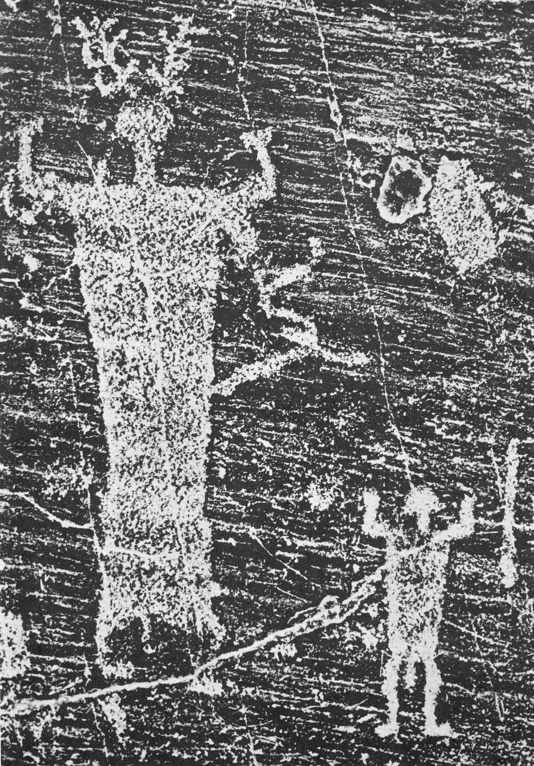 Archive record preview image