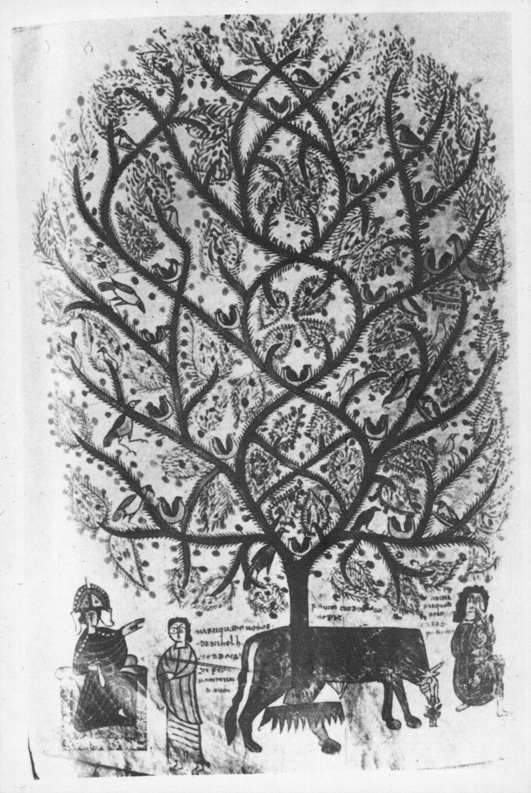 Archive record preview image