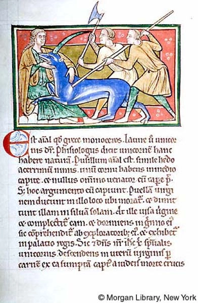 Archive record preview image