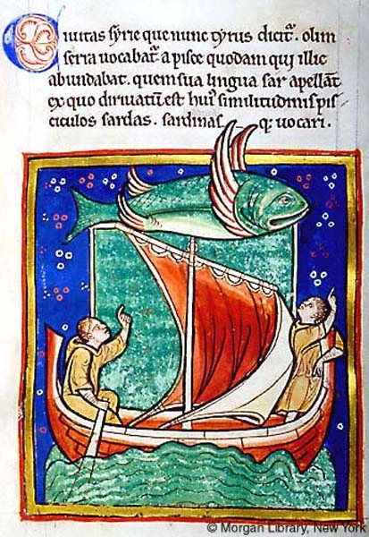 Archive record preview image