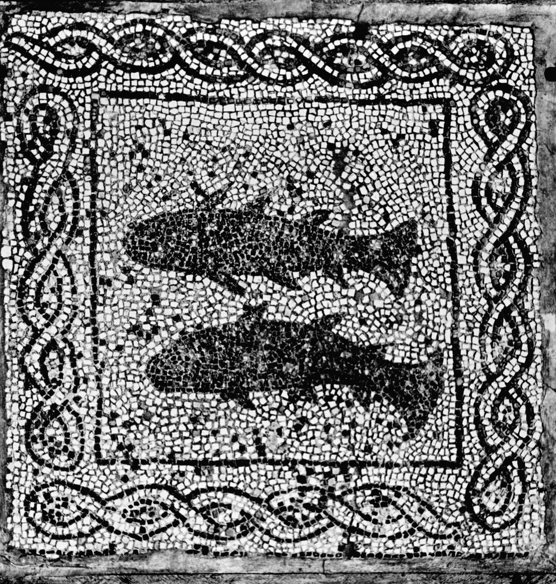 Archive record preview image