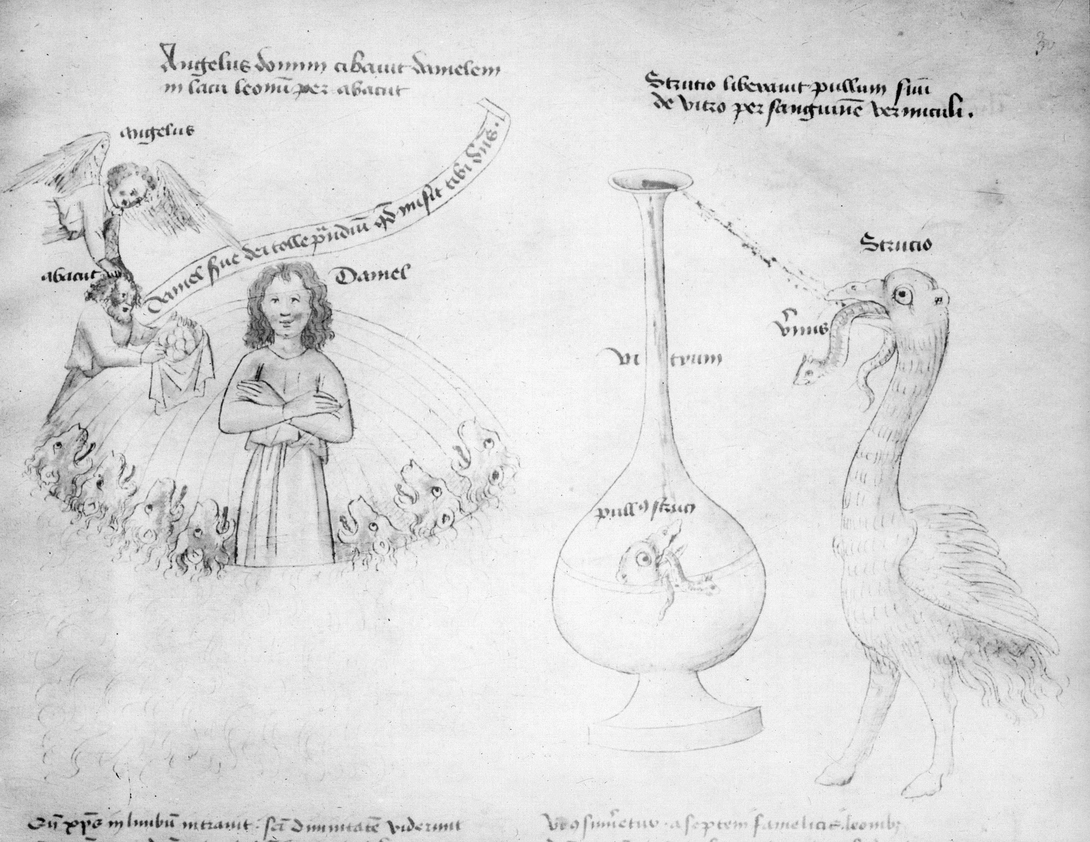 Archive record preview image