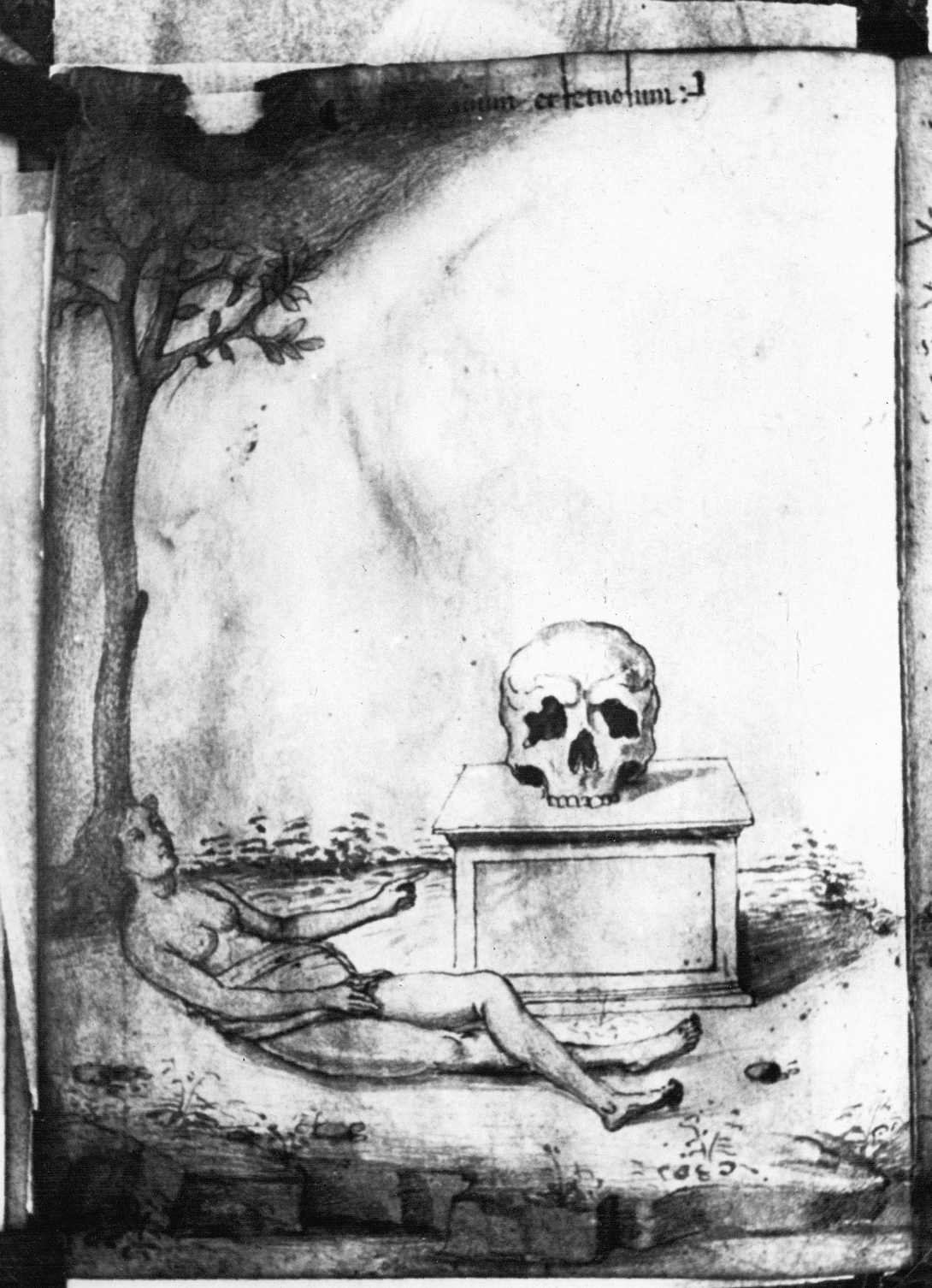 Archive record preview image
