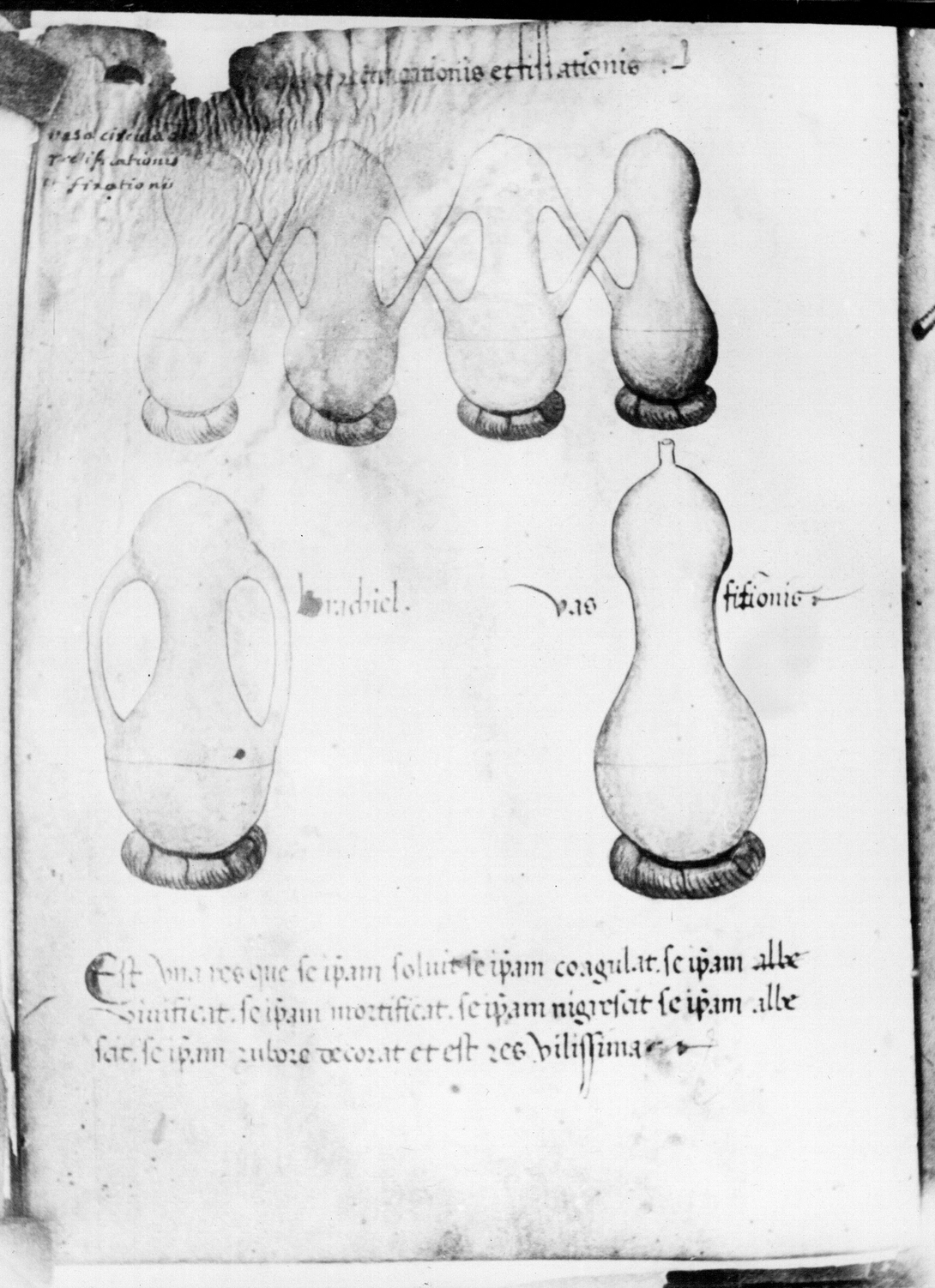 Archive record preview image