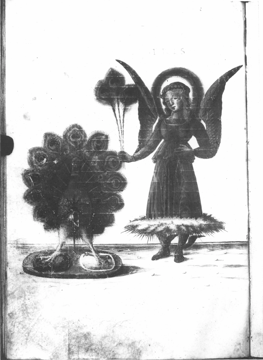 Archive record preview image