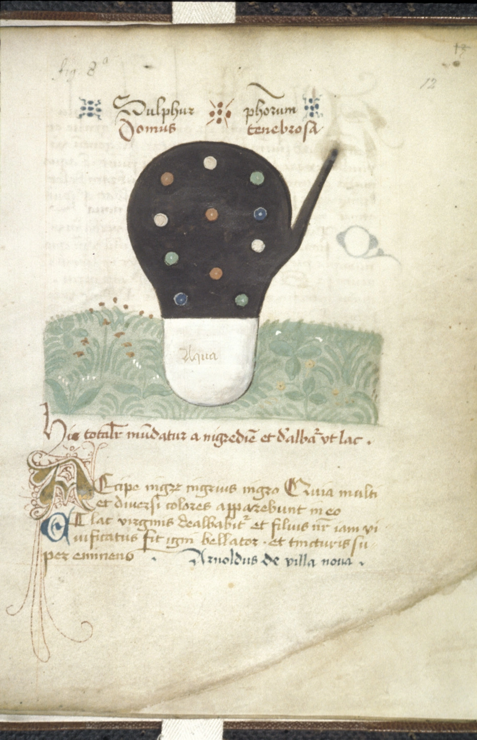 Archive record preview image