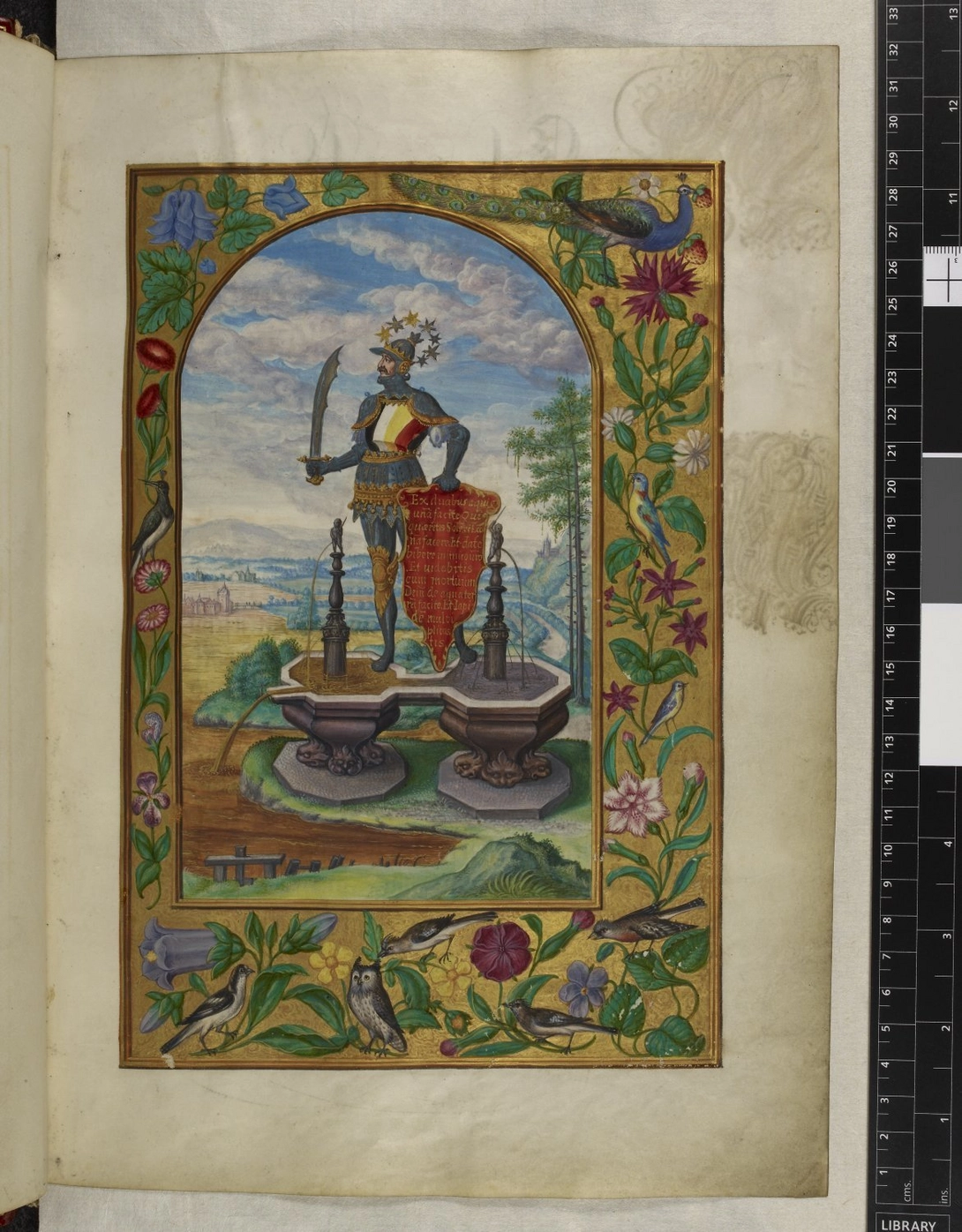 Archive record preview image