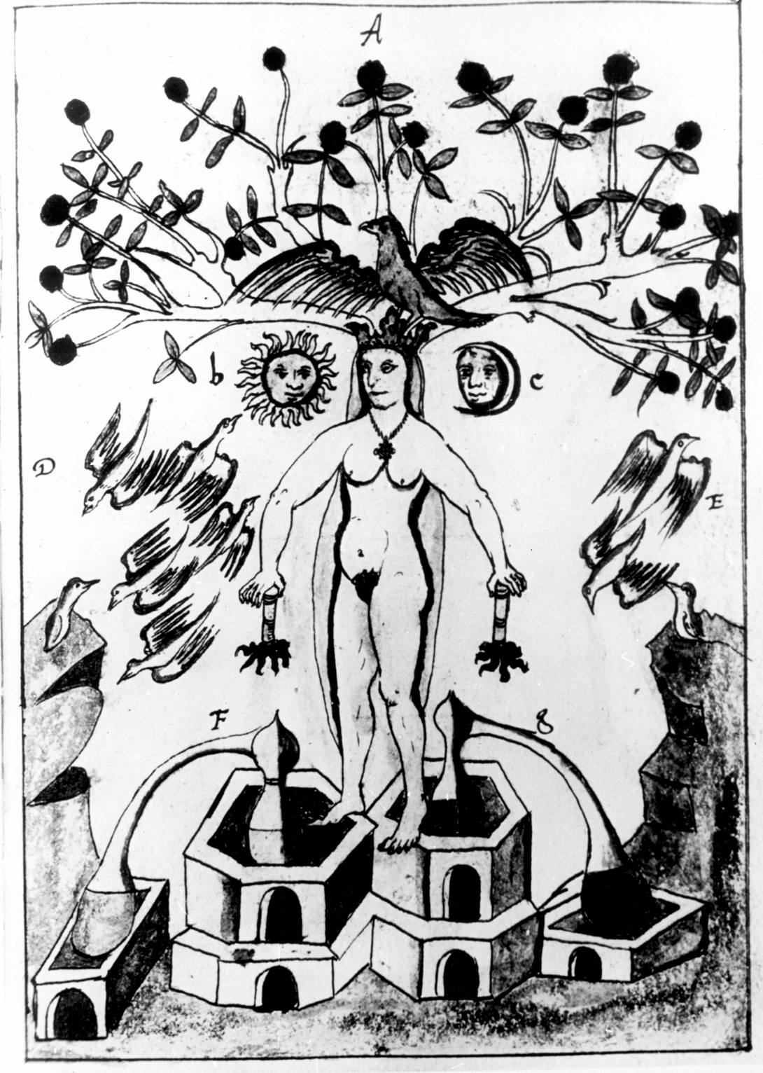 Archive record preview image