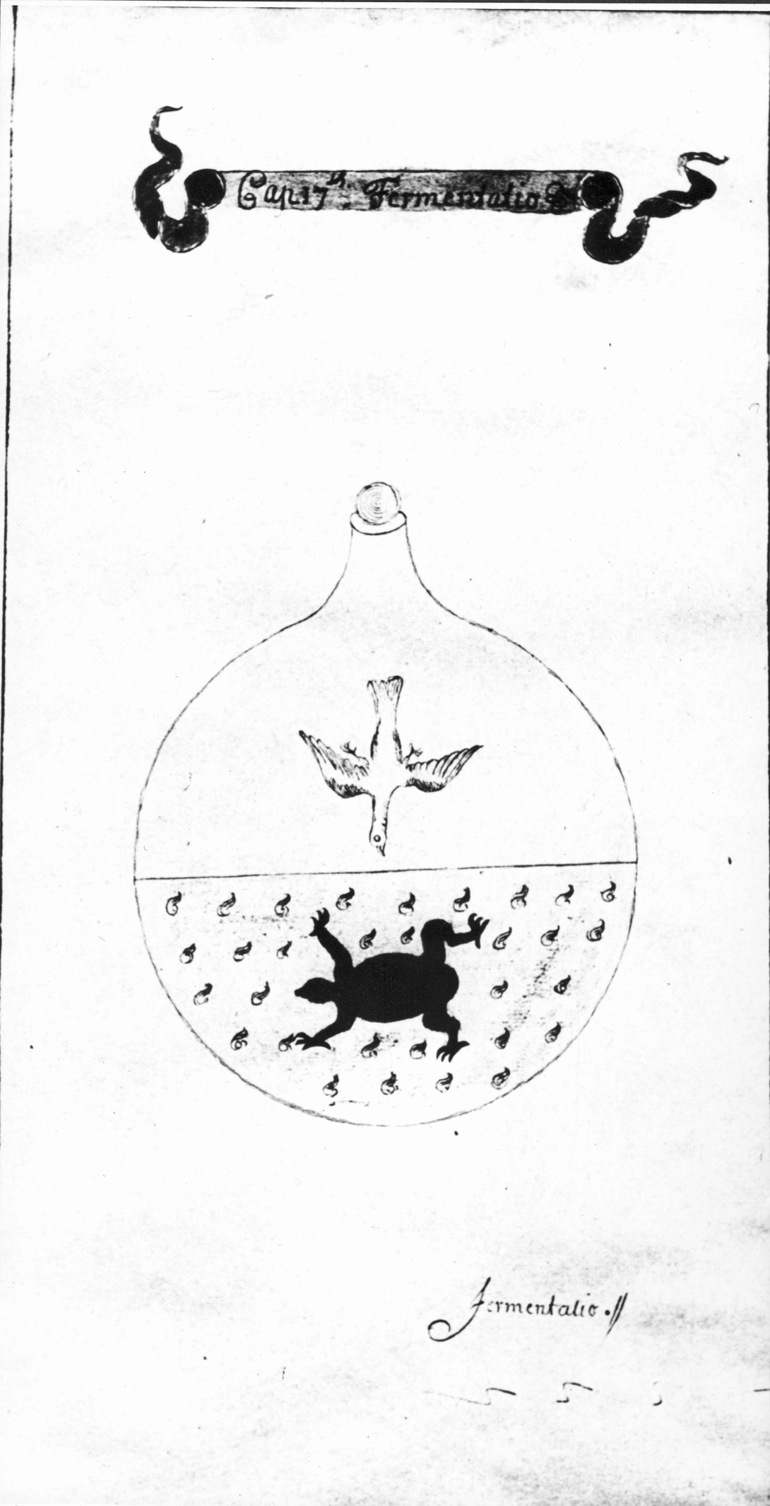 Archive record preview image
