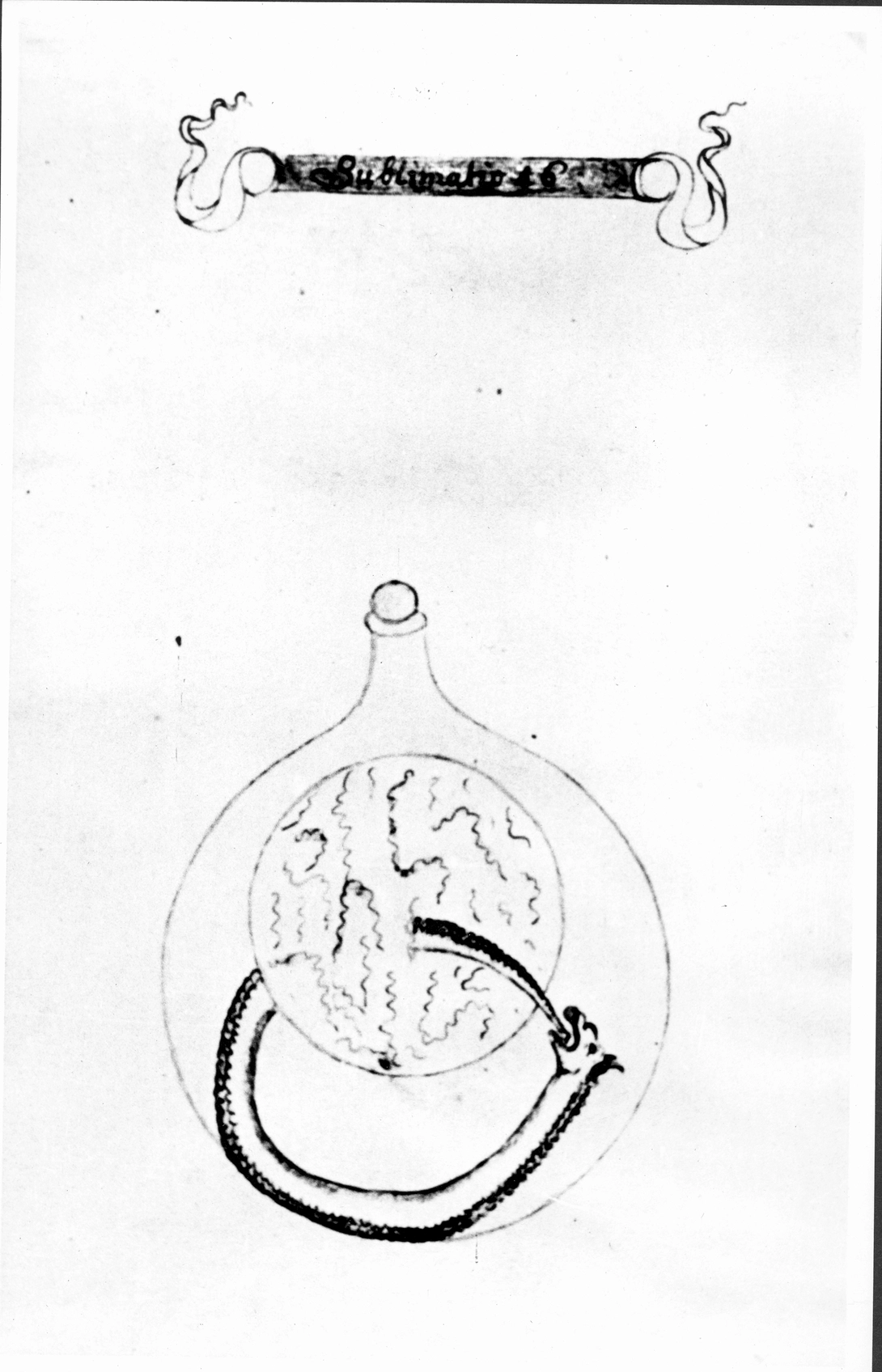 Archive record preview image