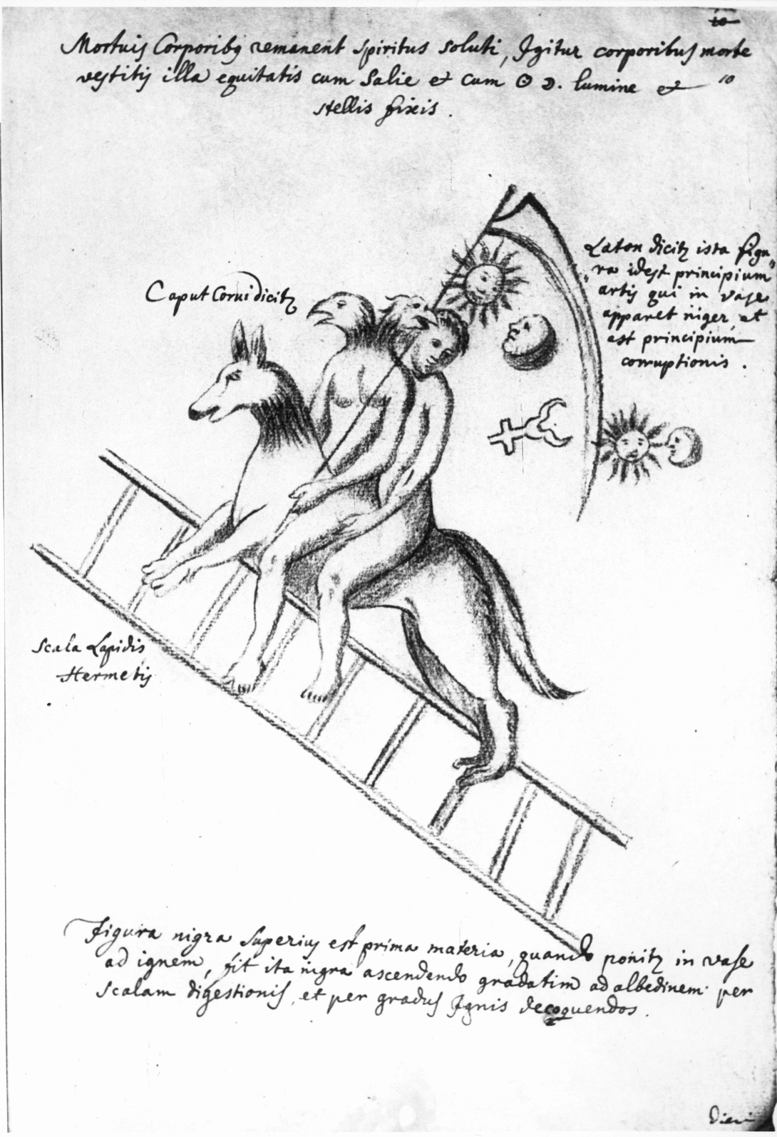 Archive record preview image