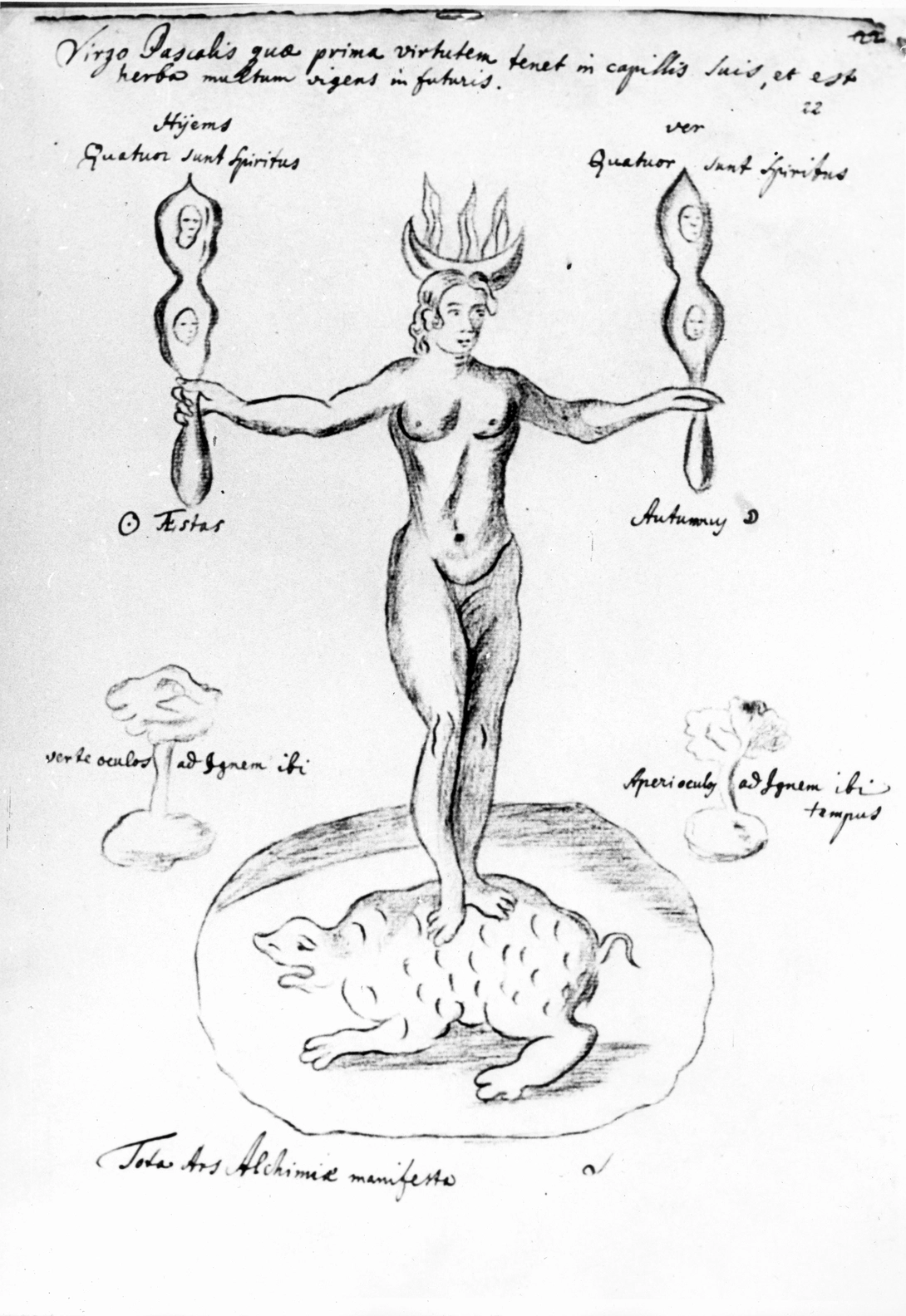 Archive record preview image