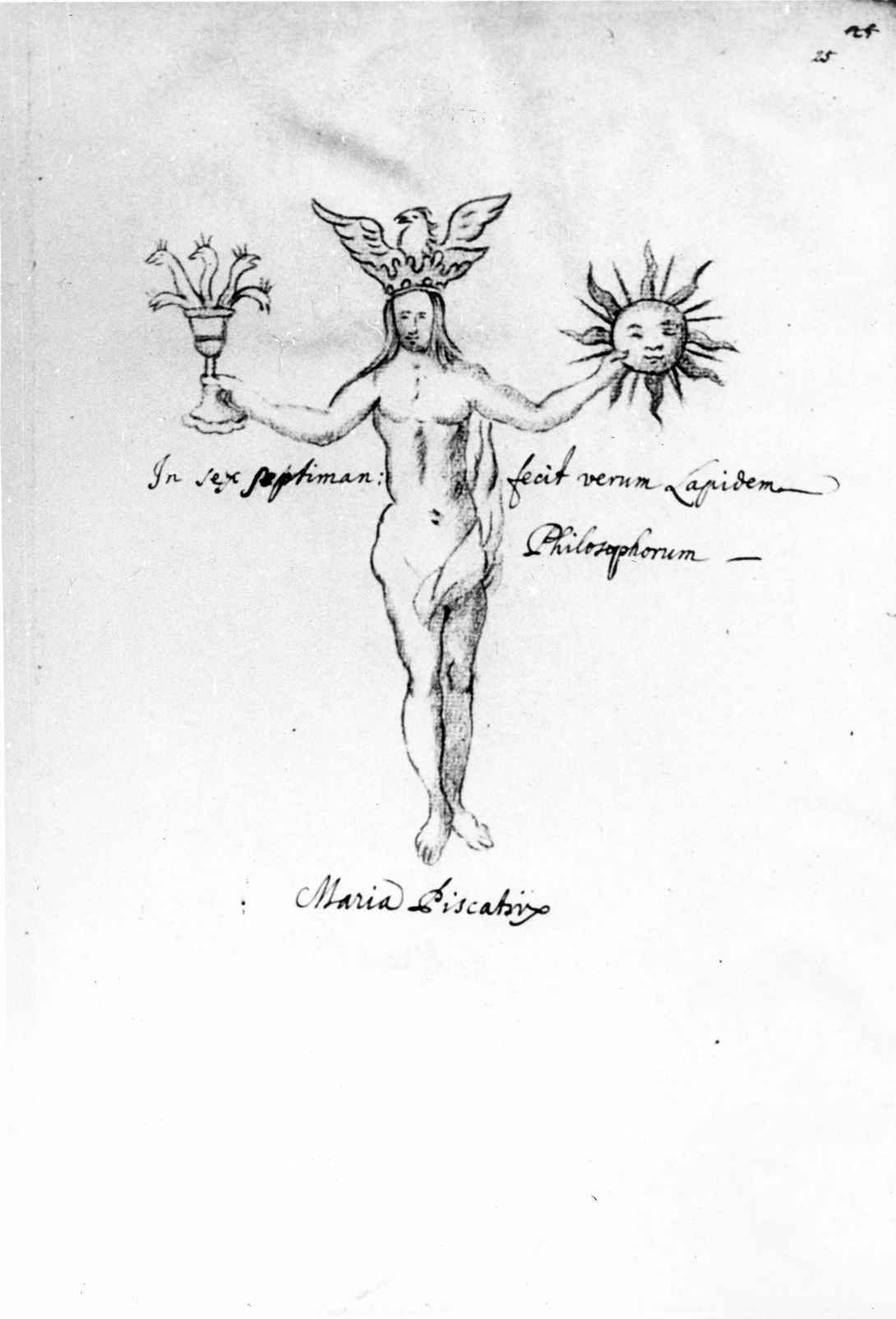 Archive record preview image