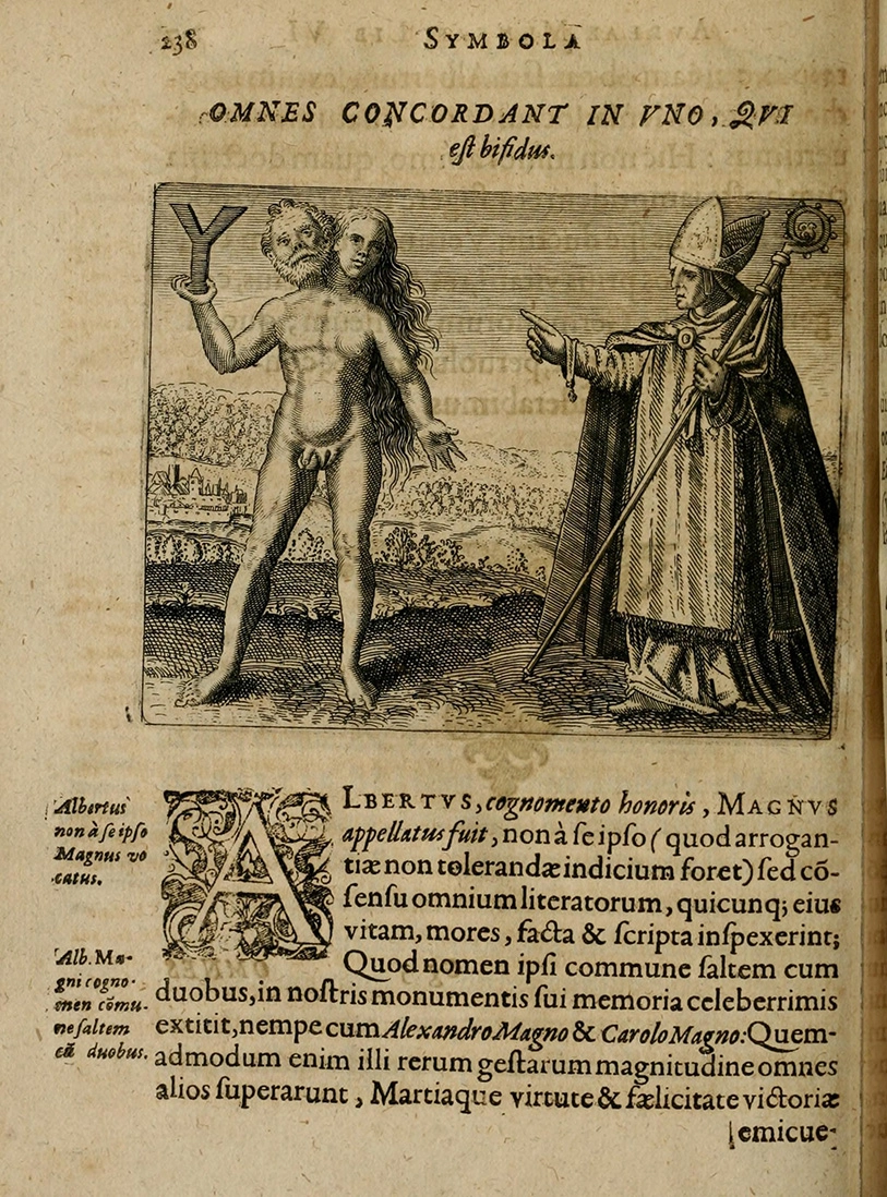 Archive record preview image