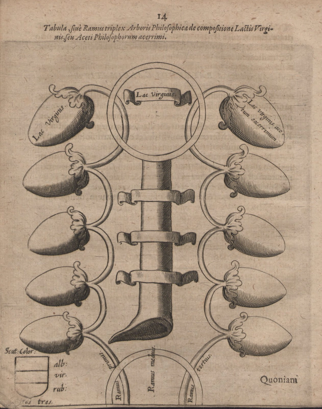 Archive record preview image