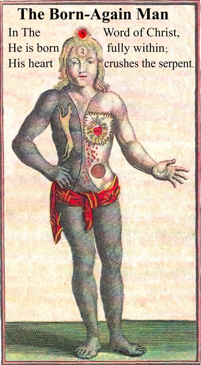 Archive record preview image