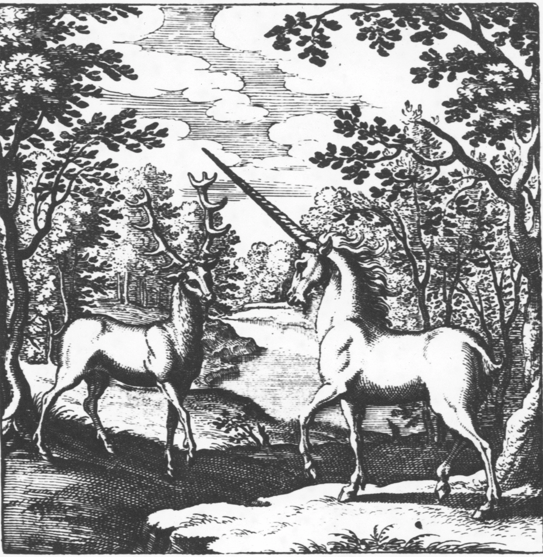 Archive record preview image