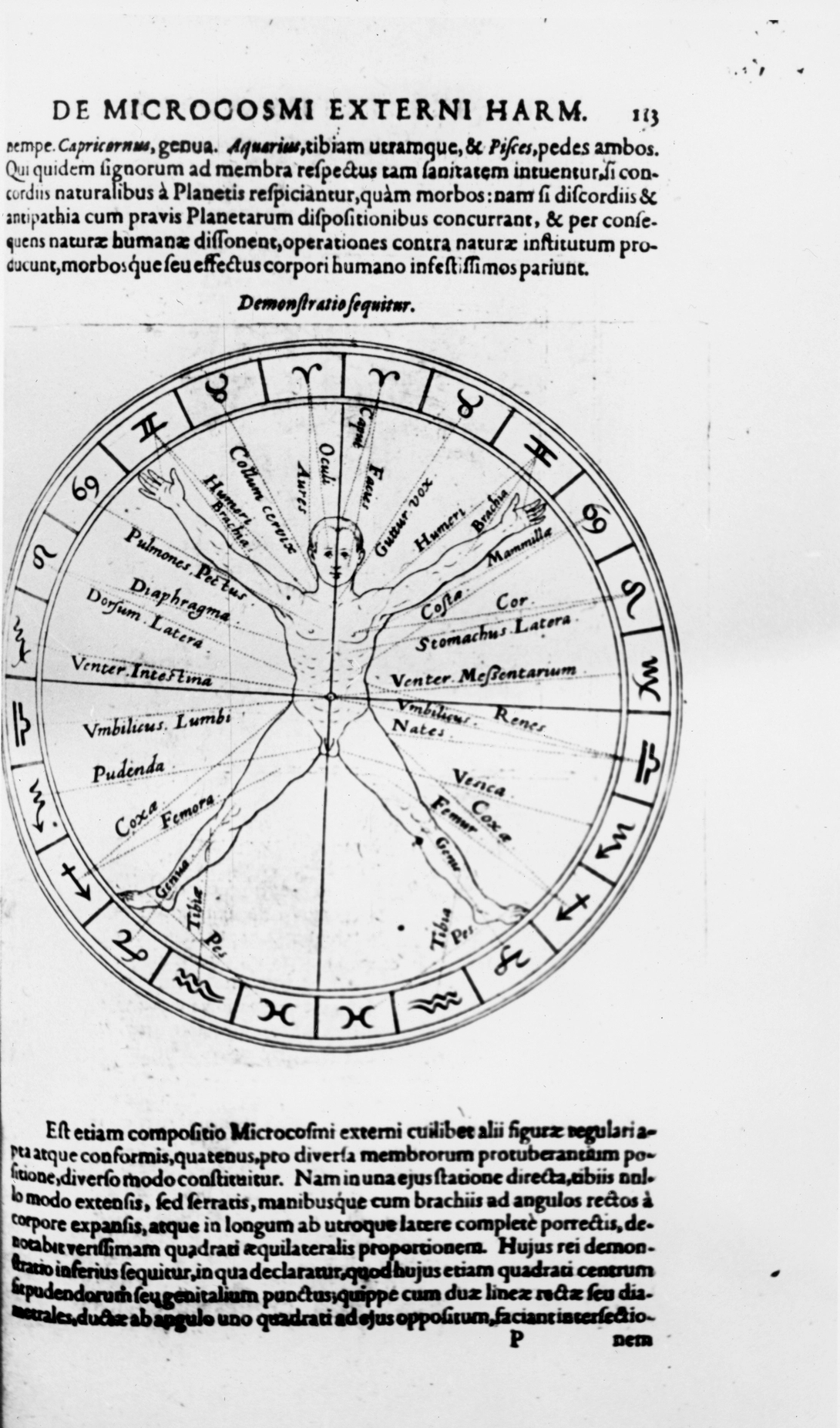 Archive record preview image