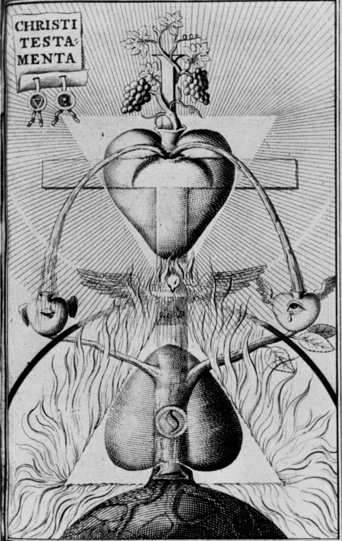 Archive record preview image