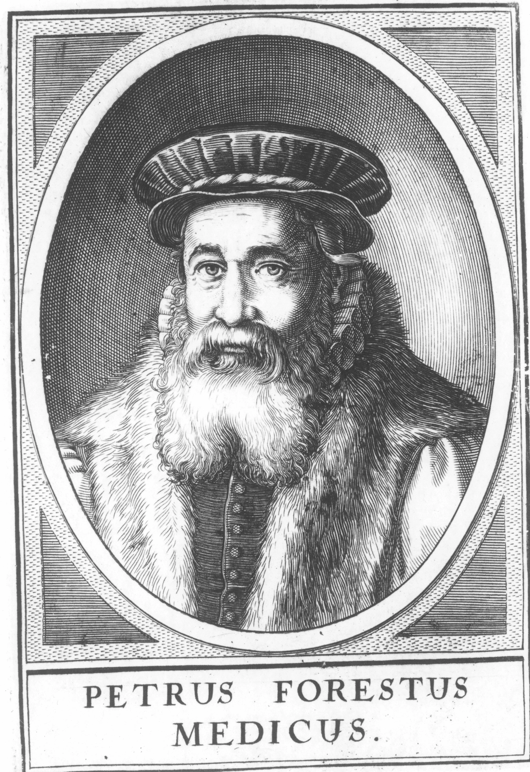 Archive record preview image